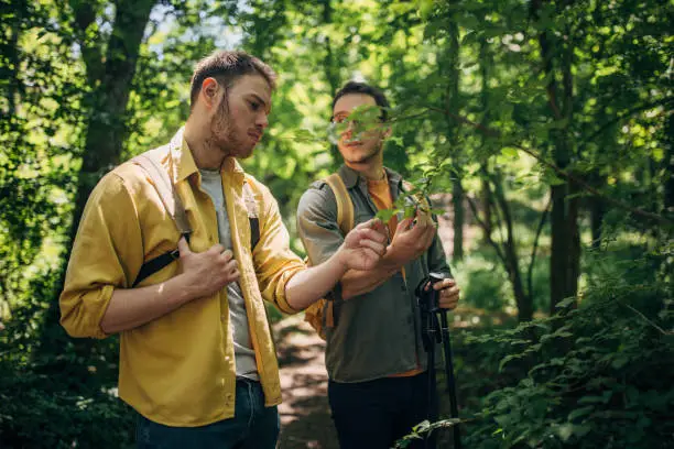 Eco-Friendly Outdoor Adventures: Exploring Nature Responsibly